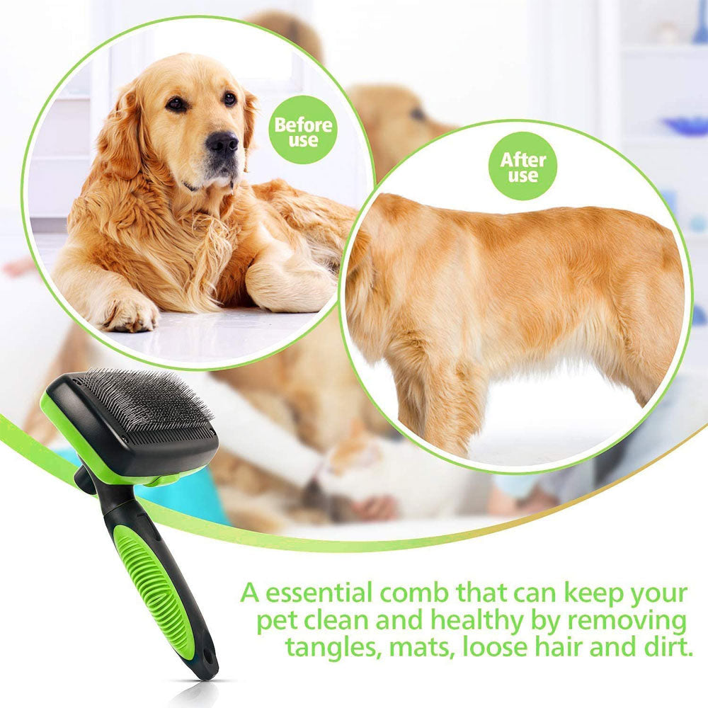 Dog Brush